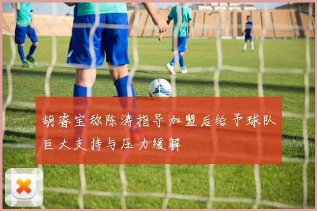 胡睿宝称陈涛指导加盟后给予球队巨大支持与压力缓解