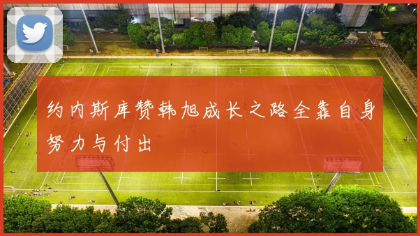 约内斯库赞韩旭成长之路全靠自身努力与付出