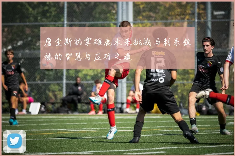 詹金斯执掌雄鹿未来挑战马刺系教练的智慧与应对之道